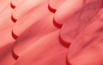 Abercastle plastic roof costs